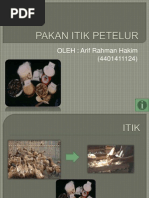 Download PAKAN ITIK PETELUR by AnAx Mitalika SN131560305 doc pdf