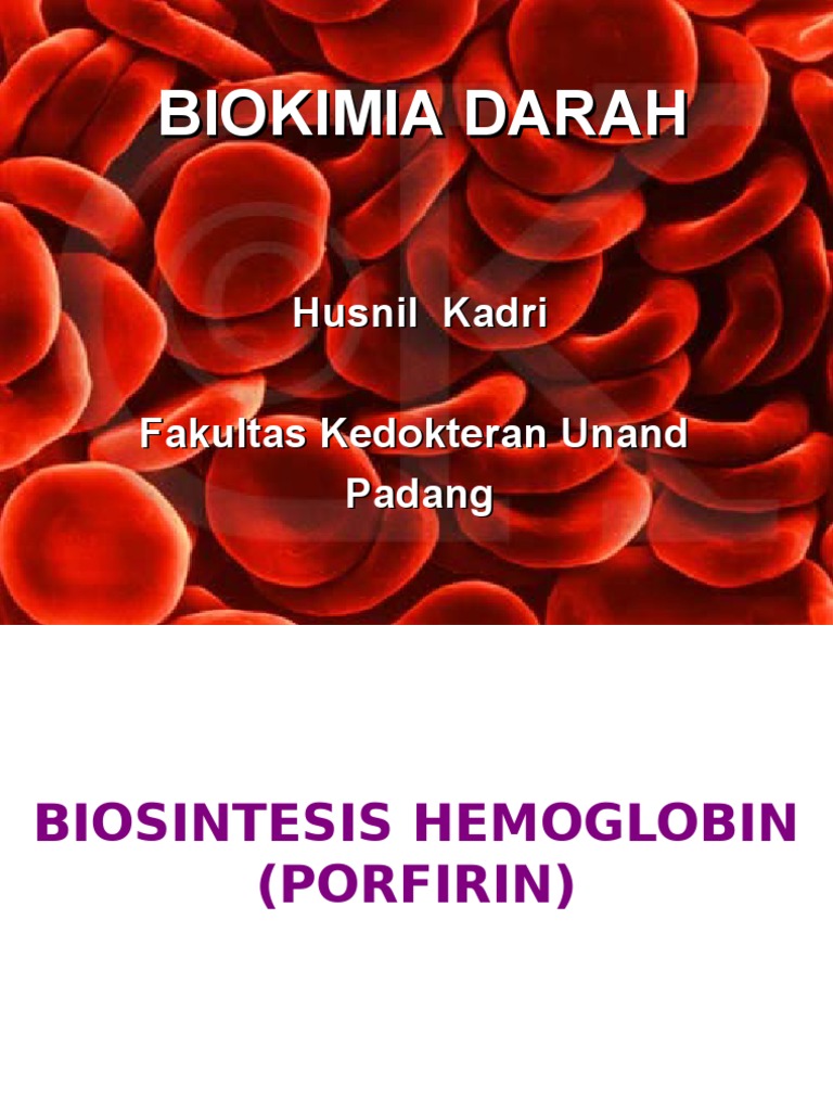 Biokimia Darah ppt Biokimia Darah ppt