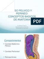 Conceptos Basicos de Anatomia