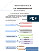 RESUMEN GERENCIA Y AUDITORIA EN LA CALIDAD DE LOS SERVICIOS DE ENFERMERÍA 1