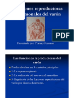 Funciones Re Product or As y Hormonales Del Varón