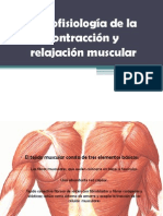 Histofisiología de La Contracción y Relajación Muscular