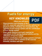 Chapter 5 Energy Systems Food Fuels