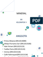 Mineral KLMPK 5 RM 1