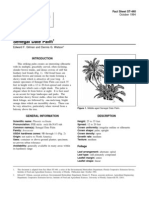 Phoenix Reclinata Senegal Date Palm: Fact Sheet ST-440