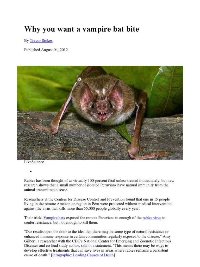 Why you want a vampire bat bite Trevor Stokes Rabies Immunity
