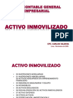 Activo Inmovilizado