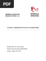 Download corporate finance by Danish Haseeb SN131654403 doc pdf