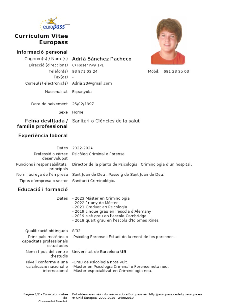 Curriculum vitae format in word image