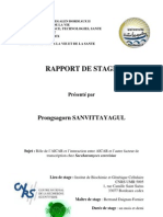 Rapport de Stage