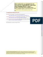 Senescence Doxorubicin