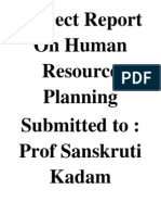 Project Report On Human Resource Planning