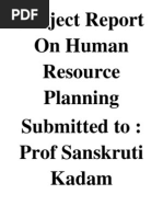 Project Report On Human Resource Planning