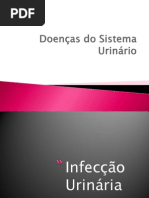 Doenças do Sistema Urinário -Biologia