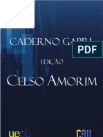 Palestra Celso Amorim