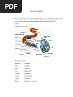 Download Filum Annelida by Melinda Oktafiani SN131683411 doc pdf