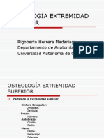 Osteología Extremidad Superior