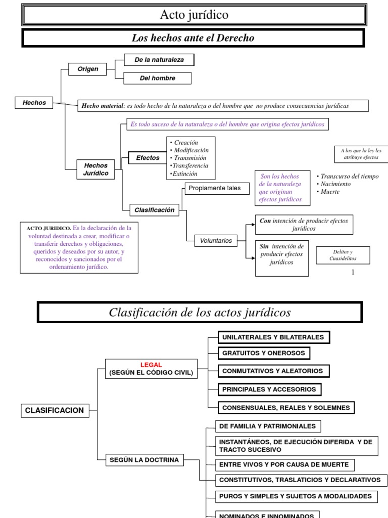 Acto Juridico ESQUEMA