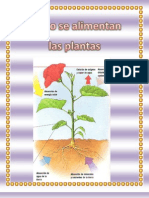 La Alimentacón de Las Plantas