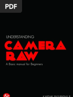 Download Understanding Camera RAW - A Basic Manual for Beginners 2013 - Print Ready by Karthik Pasupathy SN131733533 doc pdf