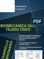 BIOMECÁNICA DEL