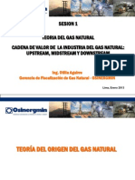 130122-Ing. Otilia Aguirre-teoria Del Origen Del Gas