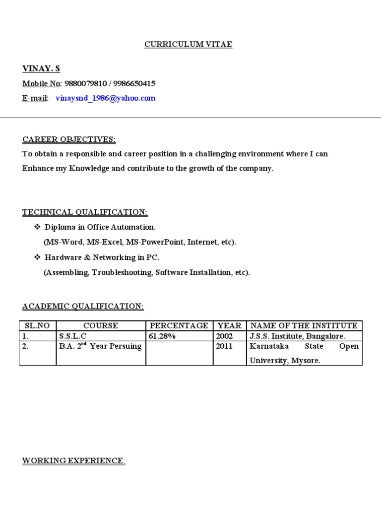 Local Guide Program CV: Vinay S. | PDF
