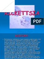 Rickettsia New