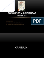 CONSULTORÍA SIN FISURAS CAP 1