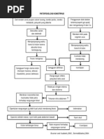 Hemoroid PDF