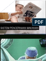 Sistem Pencernaan Makanan