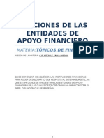 Funciones de Las Entidades de Apoyo Financiero