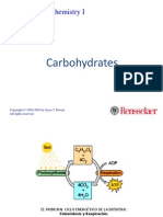 Bioquímica- 1 carbohidratos