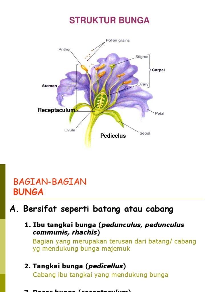 Struktur Bunga | PDF