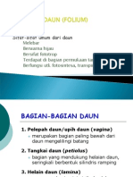 Struktur Daun Tunggal