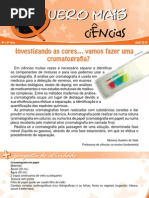 Investigando as Cores Vamos Fazer Uma Cromatografia