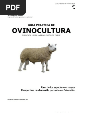 Manual Cria Ovinos Produccion Carne Oveja Rumiante