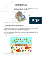 INTRODUÇÃO À FISIOLOGIA