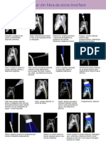 Protocol de Cimentare Pivoti A4