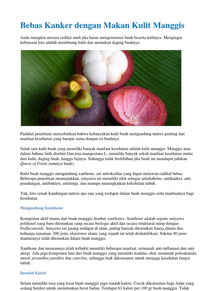 Khasiat Kulit Manggis Hidup Sehat