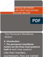 Difference Between Mandibular First Molar and Second Molar