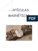 04 Partículas Magneticas