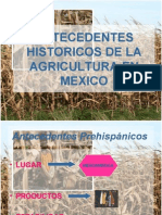 Antecedentes de La Agricultura en Mexico