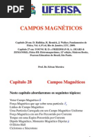 Ch28 Campos Magneticos