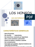 5.los Hongos