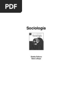 Falicov y Lifszyc (2005) - Sociología