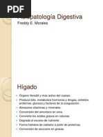 Fisiopatologia digestiva