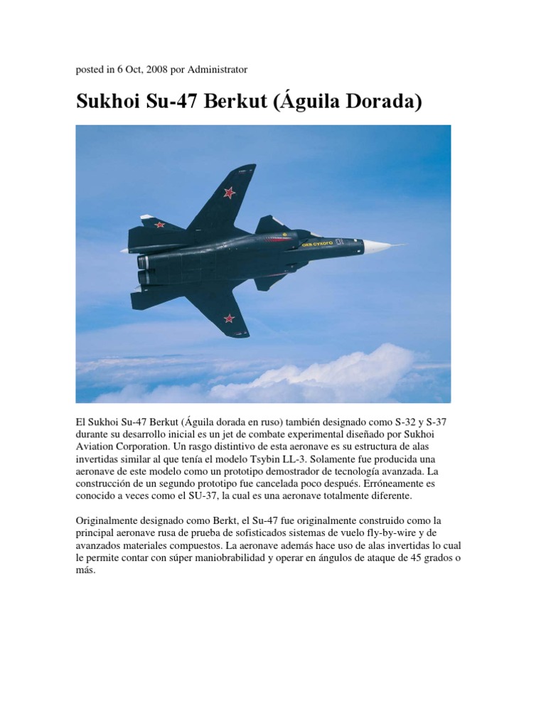 Sukhoi Su-47 Berkut: Innovación Aérea | PDF | Avión de combate ...