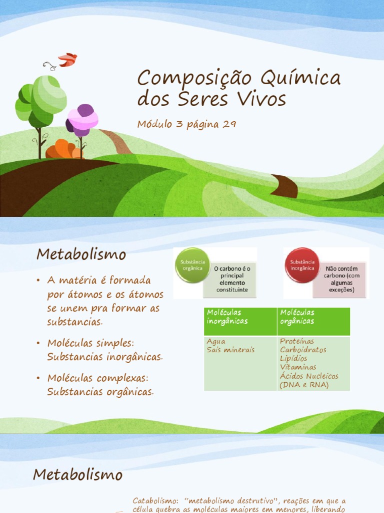 Composição Química Dos Seres Vivos Mapa Mental