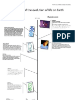 Timeline of The Evolution of Life On Earth